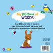 Picture of MY BIG BOOK OF WORDS PICTURE BOOK